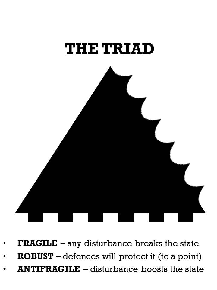 antifragile